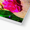 Buddha Joy - Canvas | Feel Good Images