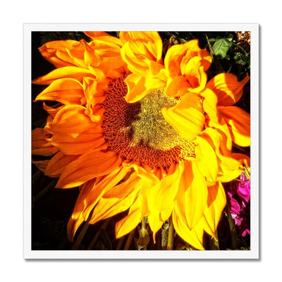 Sunflower Joy Shines Framed Print | Feel Good Images