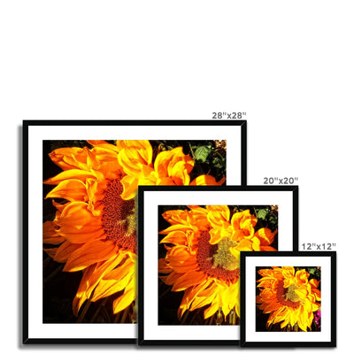 Sunflower Joy Shines Framed & Mounted Print | Feel Good Images