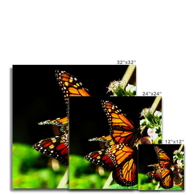 Butterfly Joy - Canvas | Feel Good Images