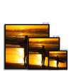 Golden Days - Golden Days - Surf Vision - Framed Print | Feel Good Images