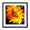 Sunflower Joy Shines Framed & Mounted Print | Feel Good Images