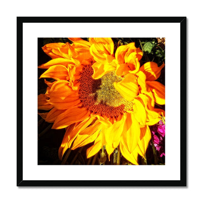 Sunflower Joy Shines Framed & Mounted Print | Feel Good Images