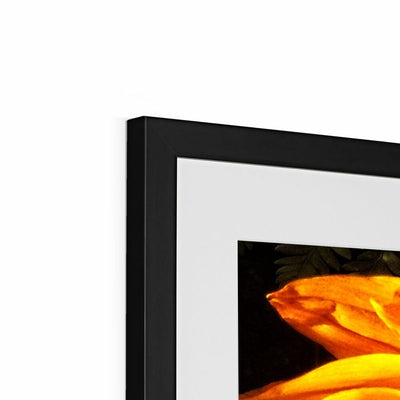 Sunflower Joy Shines Framed & Mounted Print | Feel Good Images