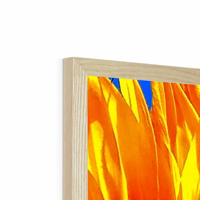 Sunflower Joy - Framed Print | Feel Good Images
