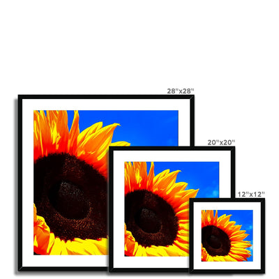 Sunflower Joy Framed & Mounted Print | Feel Good Images