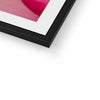 Rose Bliss Framed & Mounted Print | Feel Good Images