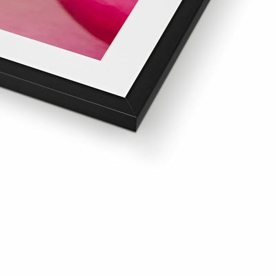 Rose Bliss Framed & Mounted Print | Feel Good Images