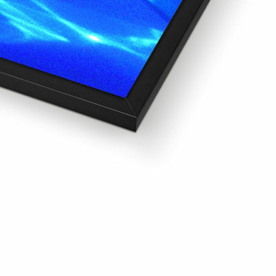 Dolphin Love Framed Print | Feel Good Images