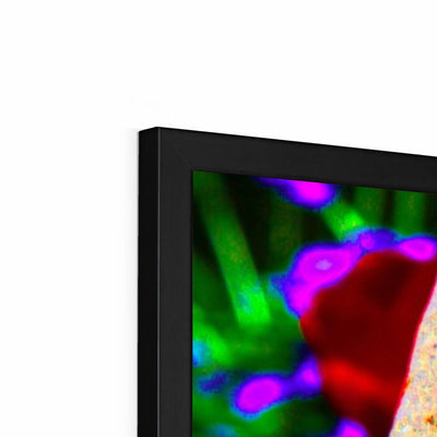 Buddha Joy Framed Print | Feel Good Images