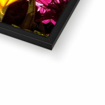 Sunflower Joy Shines Framed Print | Feel Good Images