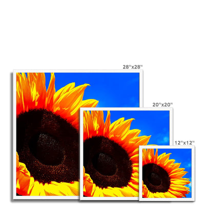 Sunflower Joy - Framed Print | Feel Good Images