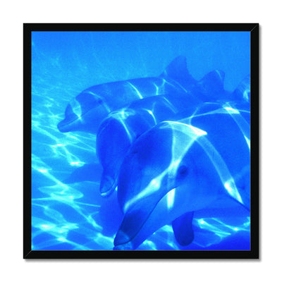 Dolphin Love Framed Print | Feel Good Images