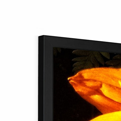 Sunflower Joy Shines Framed Print | Feel Good Images