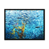 Monterey Fish Framed Print | Feel Good Images