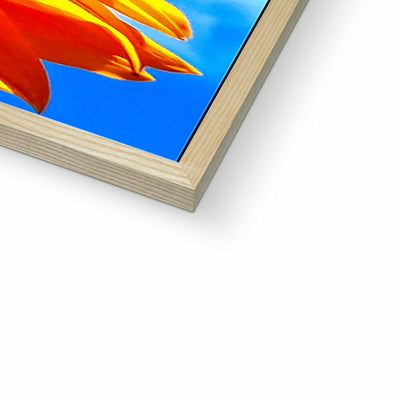 Sunflower Joy - Framed Print | Feel Good Images