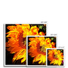 Sunflower Joy Shines Framed Print | Feel Good Images