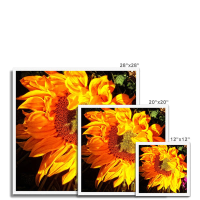 Sunflower Joy Shines Framed Print | Feel Good Images