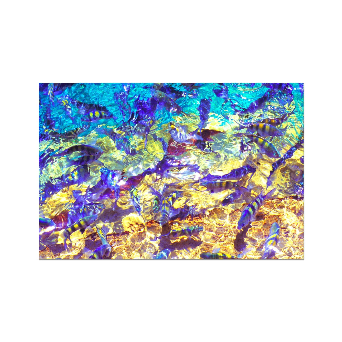 La Natural Piscina - San Andres Colombia Photo Art Print