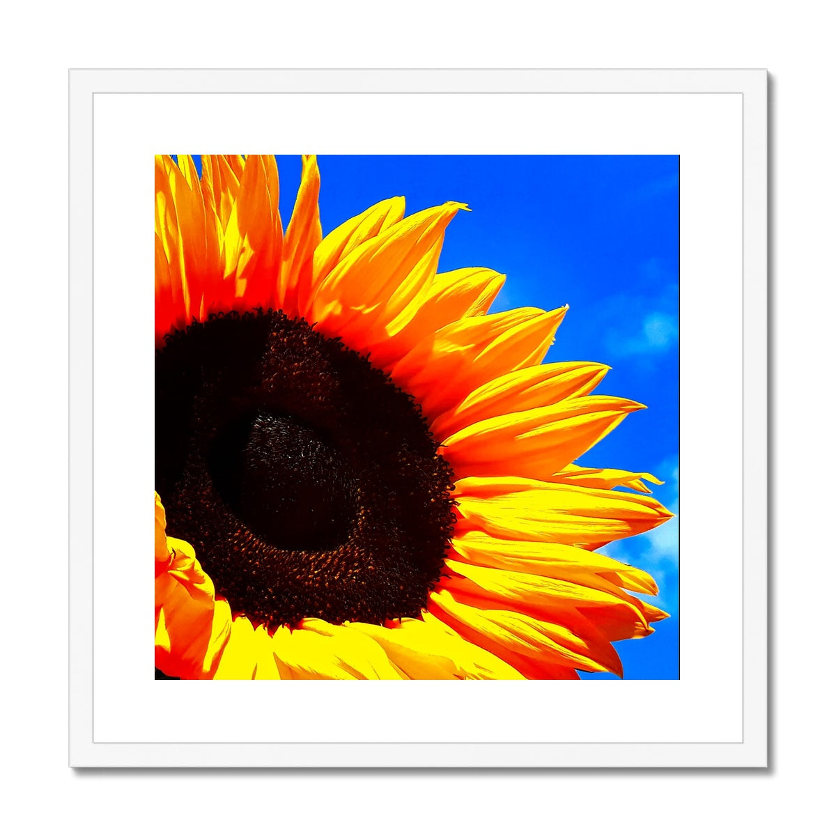 Sunflower Joy Framed & Mounted Print