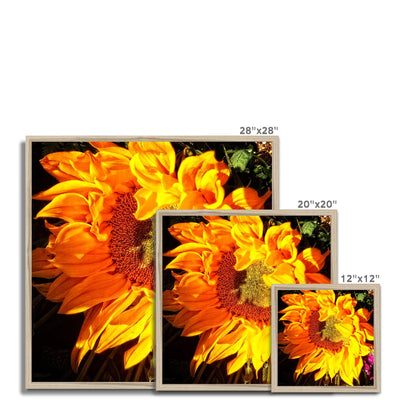 Sunflower Joy Shines Framed Print | Feel Good Images