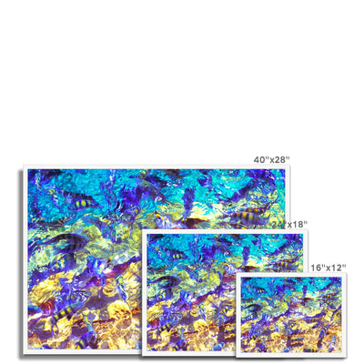 La Natural Piscina - San Andres Colombia Framed Print | Feel Good Images