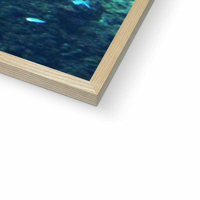 Monterey Fish Framed Print | Feel Good Images