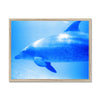 Oleen Joy Framed Print | Feel Good Images