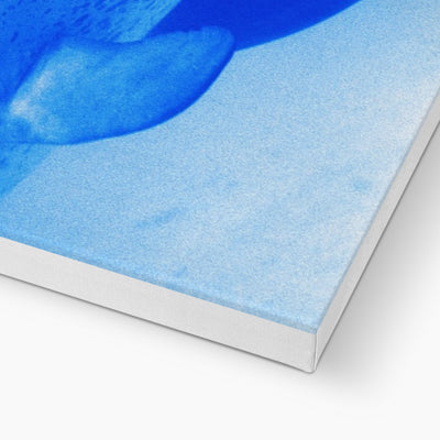 Oleen Joy Canvas | Feel Good Images