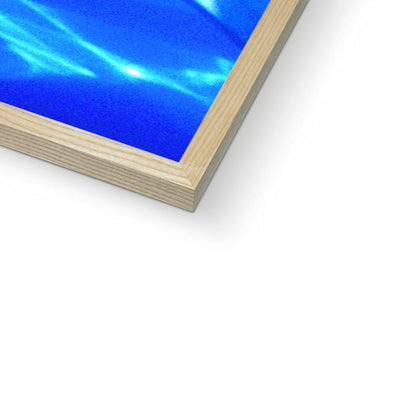 Dolphin Love Framed Print | Feel Good Images