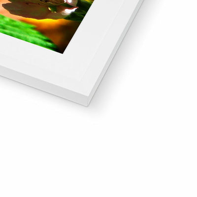 Butterfly Joy - Framed Mounted Print | Feel Good Images