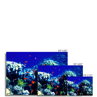 The Blue Hole - The Red Sea - Egypt Photo Art Print | Feel Good Images