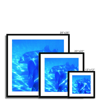 Dolphin Love Framed & Mounted Print | Feel Good Images