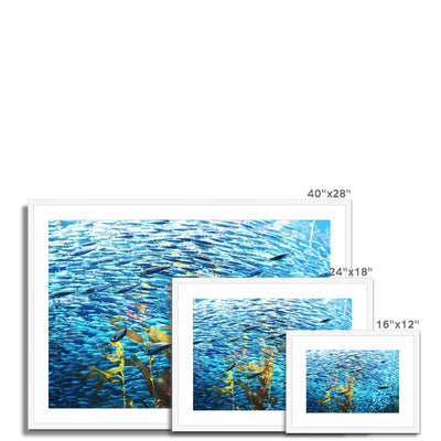 Monterey Fish Framed & Mounted Print | Feel Good Images