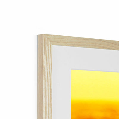 Golden Days Framed & Mounted Print | Feel Good Images