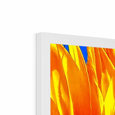 Sunflower Joy - Framed Print | Feel Good Images