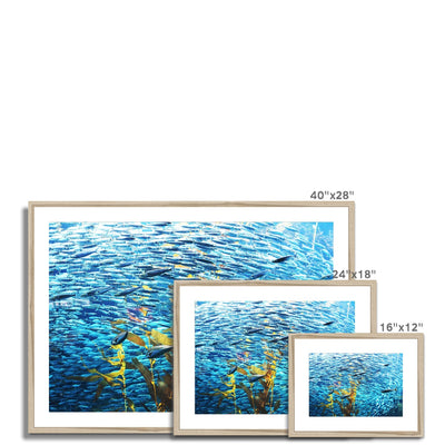 Monterey Fish Framed & Mounted Print | Feel Good Images