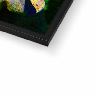 Buddha Joy Framed Print | Feel Good Images