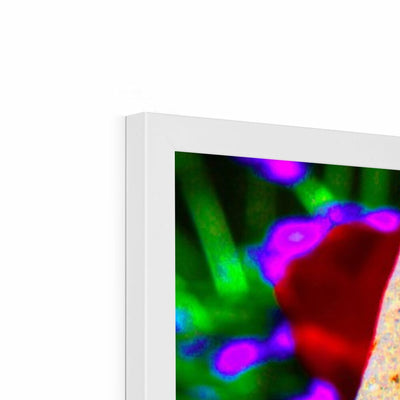 Buddha Joy Framed Print | Feel Good Images