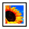 Sunflower Joy Framed & Mounted Print | Feel Good Images