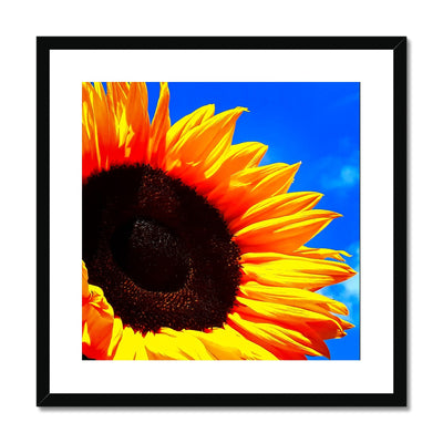 Sunflower Joy Framed & Mounted Print | Feel Good Images