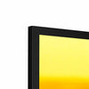 Golden Days - Framed Print | Feel Good Images