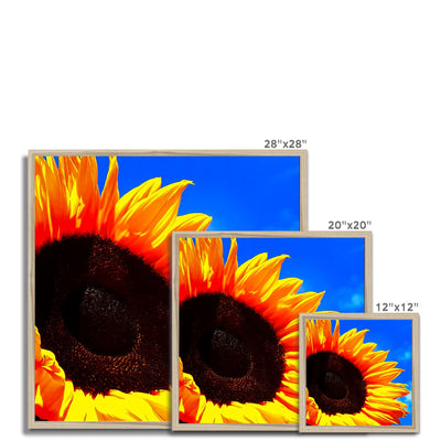Sunflower Joy - Framed Print | Feel Good Images