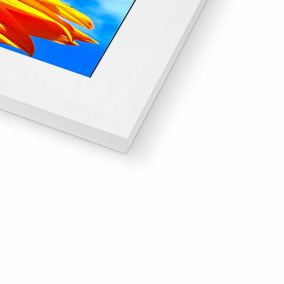 Sunflower Joy Framed & Mounted Print | Feel Good Images