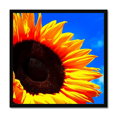 Sunflower Joy - Framed Print | Feel Good Images