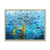 Monterey Fish Framed Print | Feel Good Images