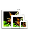 Butterfly Joy - Framed Mounted Print | Feel Good Images