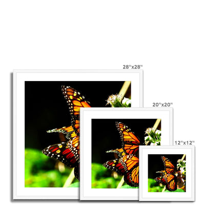 Butterfly Joy - Framed Mounted Print | Feel Good Images