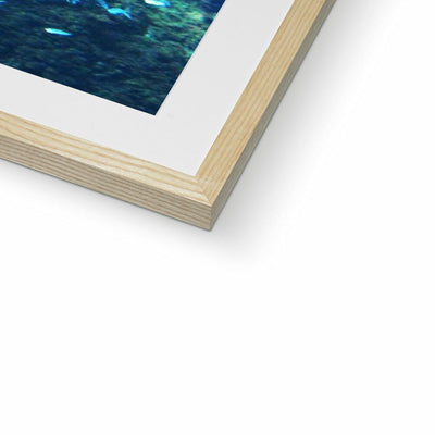 Monterey Fish Framed & Mounted Print | Feel Good Images