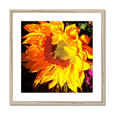 Sunflower Joy Shines Framed & Mounted Print | Feel Good Images
